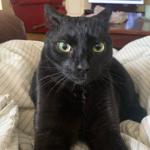 Meet your Posher, Kelli